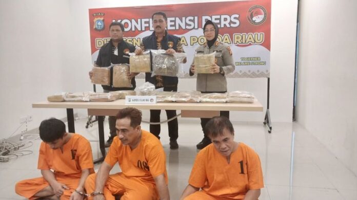 Ganja Dicuri Teman, Sindikat Pengedar Narkoba Antar Provinsi Diciduk Polda Riau