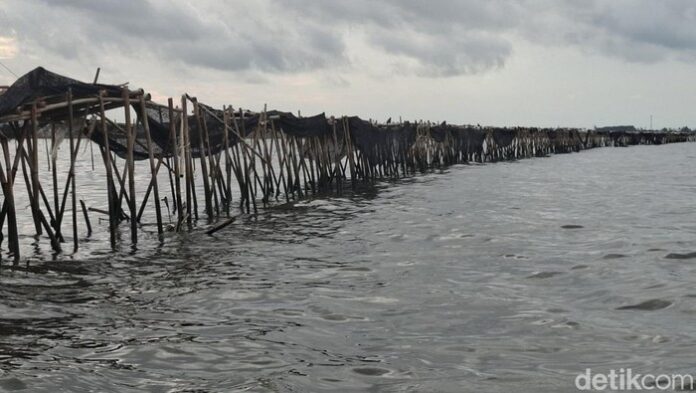 Heboh Temuan Pagar Misterius di Laut Tangerang, Ini Kronologinya
