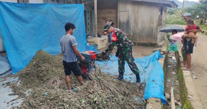 Kodim 1401_Majene Beri Motivasi Petani Nilam untuk Tingkatkan Hasil Produksi