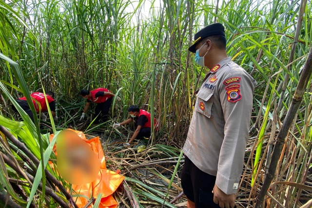 Kerangka-manusia-ditemukan-di-lahan-tebu-di-Pedukuhan-Kaligondang-Kalurahan-Sumbermulyo- Kapanewon-Bambanglipuro-Kabupaten-Bantul