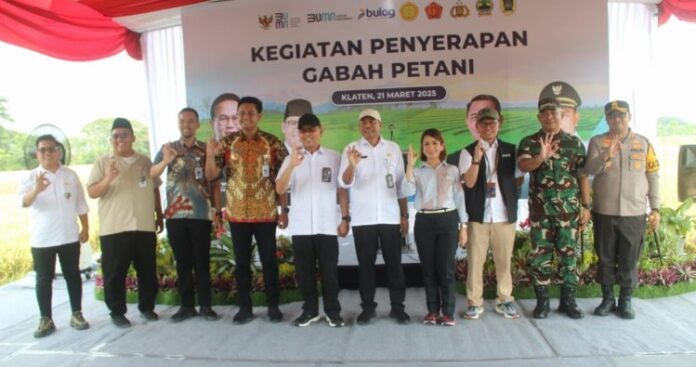 Kunjungan Kerja Kementerian RI Penyerapan Gabah Petani di Kabupaten Klaten