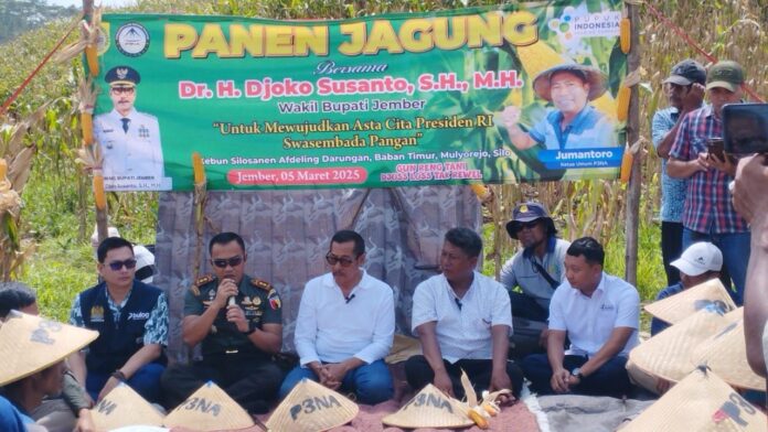 Panen Jagung Sinergi Kodim 0824_Jember, Pemkab Jember, Bulog, dan PTPN untuk Memperkuat Ketahanan Pangan