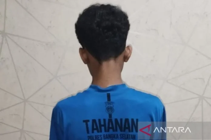 Diduga Edarkan Sabu, Seorang Pemuda Ditangkap Polisi