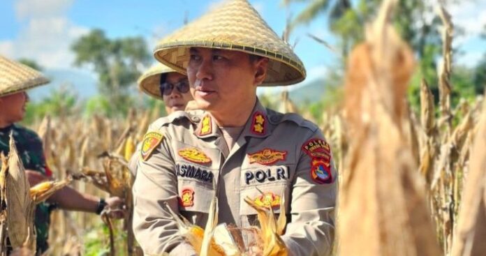 Kapolres Lombok Barat AKBP Yasmara Harahap Tinjau Kesiapan Panen Raya