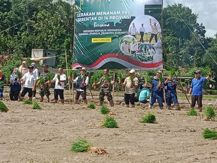Kodim 0603_Lebak Dukung Gerakan Menanam Padi Serentak di 14 Provinsi