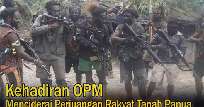 Luka di Tanah Surga Ketika OPM Mengkhianati Harapan Rakyat Papua