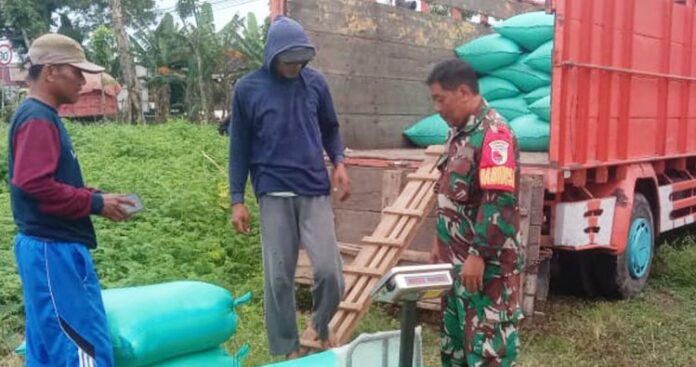 Maksimalkan Sergab Personil koramil 0804_07 Karangrejo Bantu Petani
