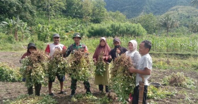 TNI Hadir Bersama Rakyat, Personil Kodim 1401_Majene Lakukan Ini!