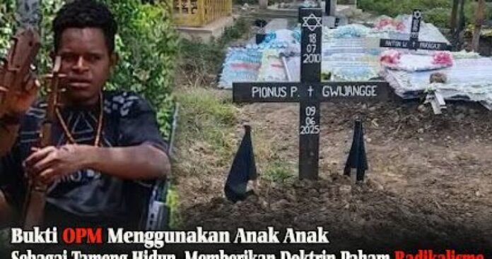 Eksklusif Bukti Mengejutkan OPM Gunakan Anak-Anak sebagai Tameng Hidup