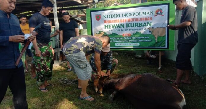 Momen Haru Penyerahan Hewan Kurban di Kodim 1402_Polman