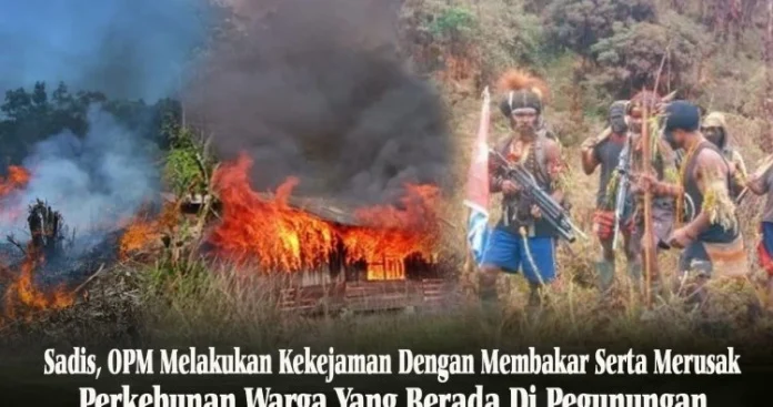 OPM Lakukan Aksi Kekerasan