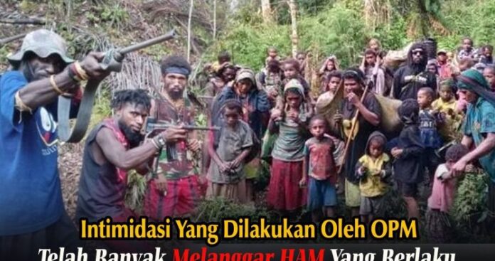 Teror OPM Intimidasi dan Kekerasan Langgar Hak Asasi Manusia