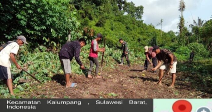 Dukung Akses Pertanian Warga, Koramil 1418-05_Kalumpang Lakukan Ini!