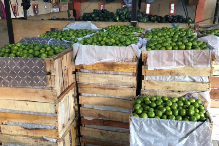 Diduga Izin Tak Sesuai, DPRD Desak Pemkot Cek Izin Pasar Dupak