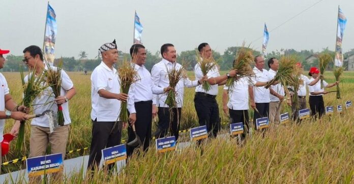 Kejagung Panen Raya di Lahan Rampasan Korupsi
